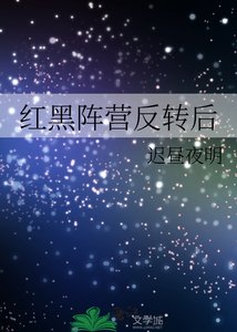 《红黑阵营反转后》