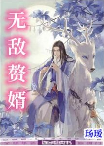 《无敌赘婿》