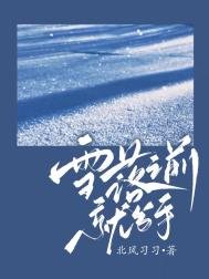 《雪落之前就分手》