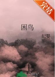 《困鸟》