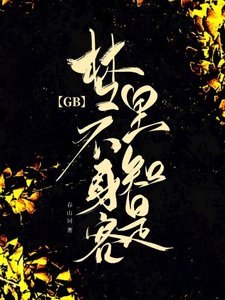 《梦里不知身是客GB》