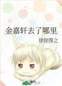 《金嘉轩去了哪里》