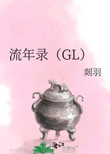 《流年录》