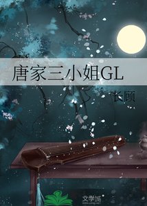 《唐家三小姐》