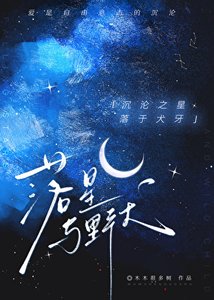 《落星与野犬》