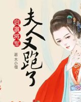 《市长夫人又跑了》