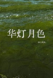 《华灯月色》