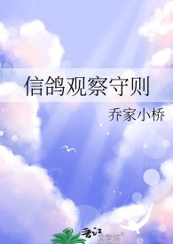 《信鸽观察守则》