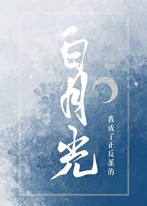 《我成了正反派的白月光》