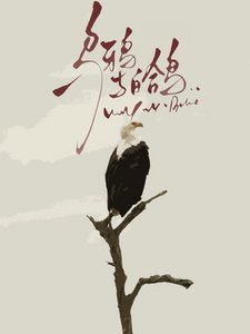 《乌鸦与白鸽》