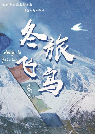 冬旅飞鸟