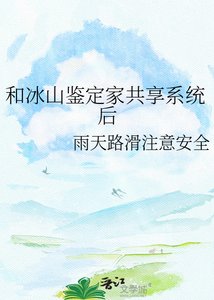 《和冰山鉴定家共享系统后》