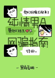 《纯情男A网骗指南》