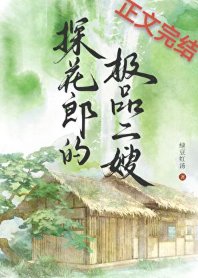 《探花郎的极品二嫂》