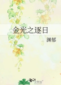 《金光之逐日》