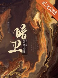 《暗卫还是老婆》