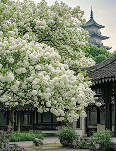 《上青天诛神覆魔传》