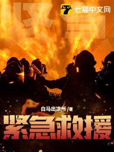 《紧急救援》
