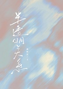 《半透明关系》