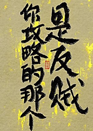 《你攻略的那个,是反贼!》