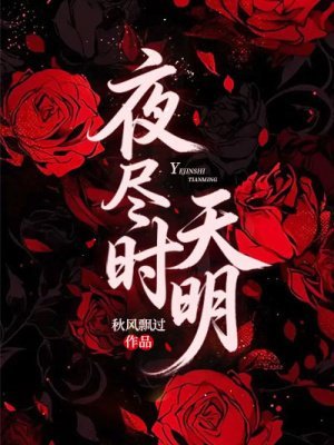《夜尽时天明》