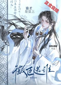 《微臣选谁谁才是皇上》