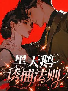 《黑天鹅诱捕法则》