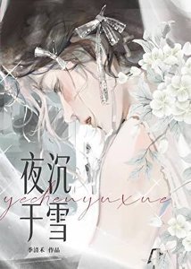 《夜沉于雪》