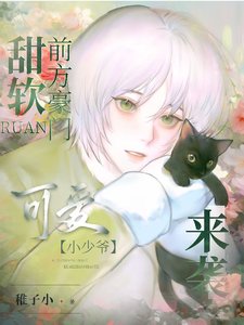 《甜软!前方豪门可爱小少爷来袭!》