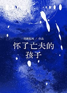 《怀了亡夫的孩子》