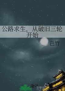 《公路求生,从破旧三轮开始》