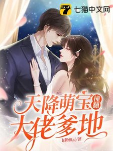 《天降萌宝撞翻大佬爹地》