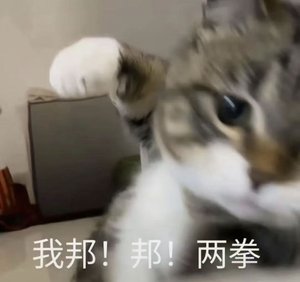 《【复联+hp】冬日战士像猫猫》