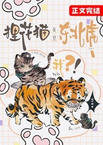 《我,狸花猫,抚慰东北虎?》