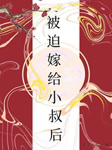 《被迫嫁给小叔后》
