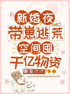 《新婚夜带崽逃荒,空间囤千亿物资》