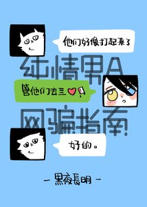 《纯情男A网骗指南》