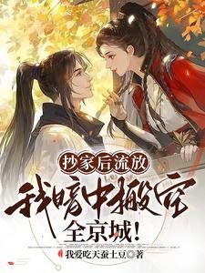 《抄家后流放,我暗中搬空全京城!》