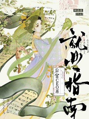 CEO后宫再就业指南