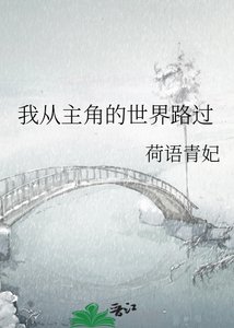 《我从主角的世界路过》
