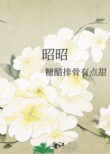 《昭昭》