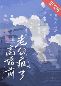 《离婚前老公疯了》
