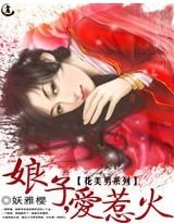 《花美男系列:娘子,爱惹火》