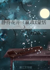 《(BL/王者天下同人)静待花开(嬴政X蒙恬)》