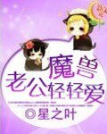 《魔兽老公轻轻爱/家有魔兽老公》