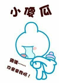 《小傻瓜驯夫手札》