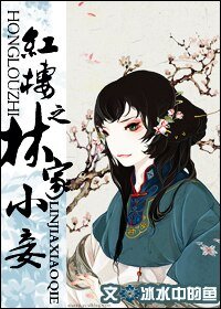 《(红楼同人)红楼之林家小妾》