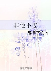 《非他不娶》