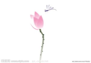 《小荷才露尖尖角》