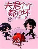 《夫君个个都很坏》